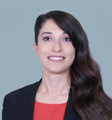 Fotoğraf